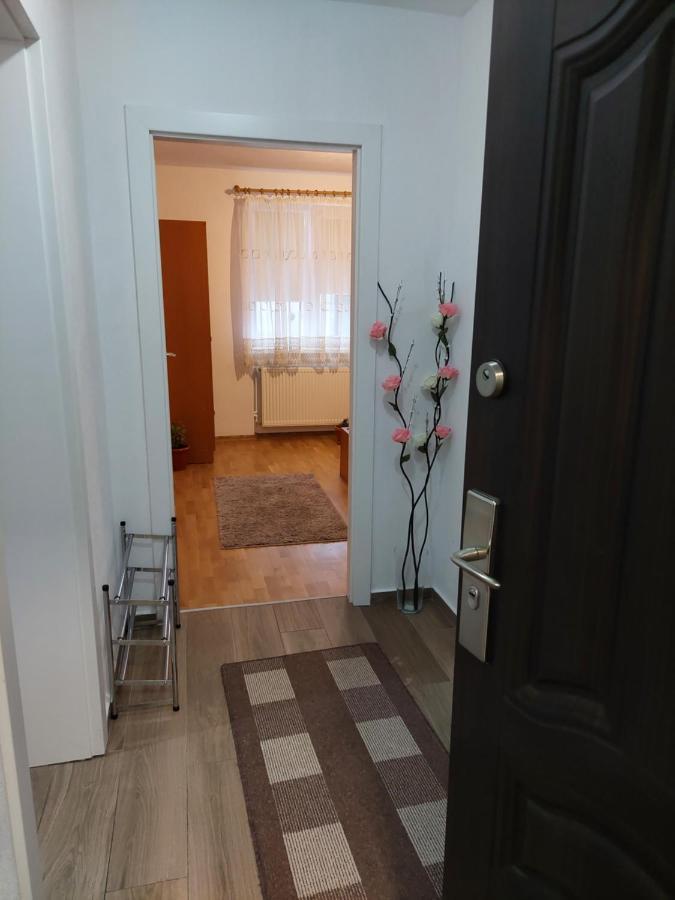 Apartament Ambrus سيفِسوارا المظهر الخارجي الصورة