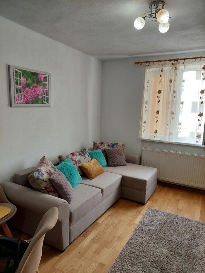 Apartament Ambrus سيفِسوارا المظهر الخارجي الصورة