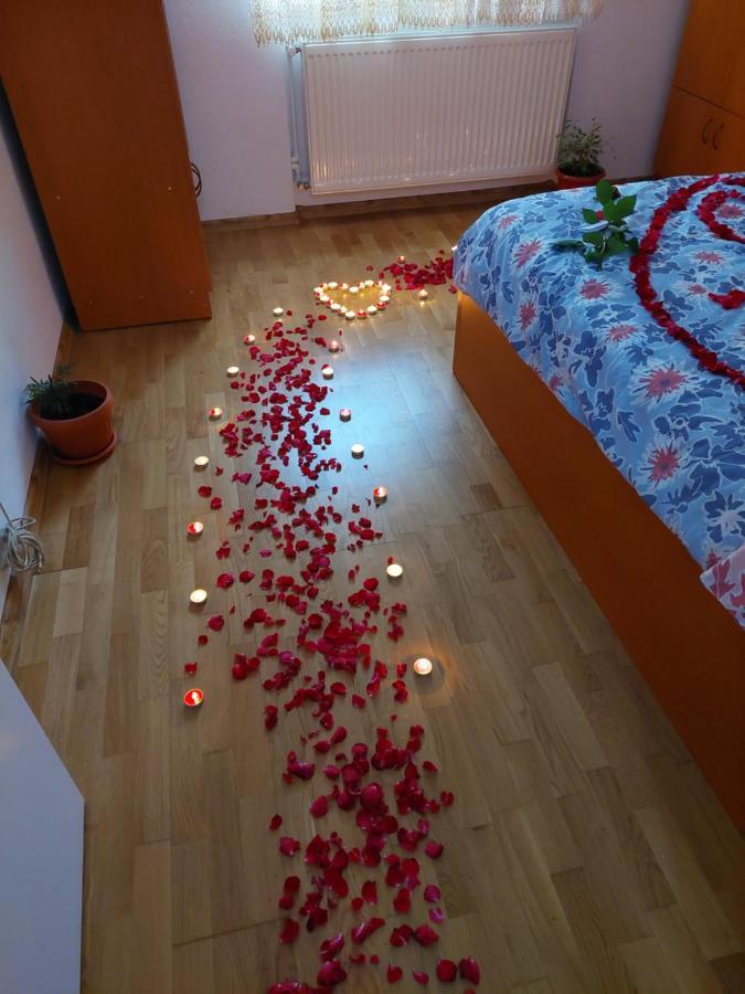 Apartament Ambrus سيفِسوارا المظهر الخارجي الصورة
